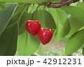 サミットさくらんぼ 42912231