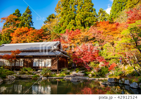 秋の湖東三山 百済寺の池 秋の湖東三山 百済寺の池 42912524