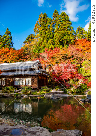 秋の湖東三山 百済寺の池 秋の湖東三山 百済寺の池 42912525