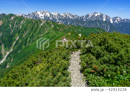 北アルプス　爺ヶ岳から望む立山連峰 42913226