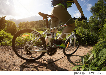 Riding bike on top of hill in forest on sunny day 42913675
