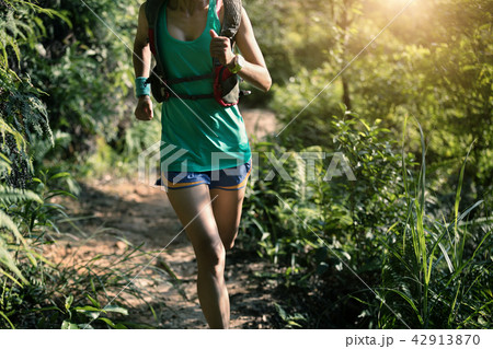 Fit woman trail runner running in morning forest 42913870