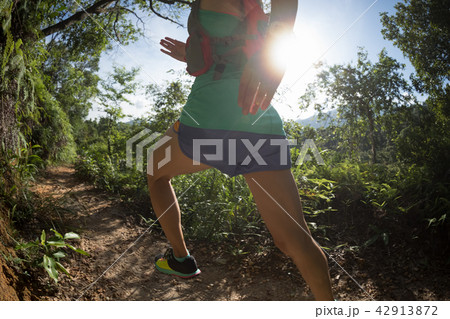 Fit woman trail runner running in morning forest 42913872