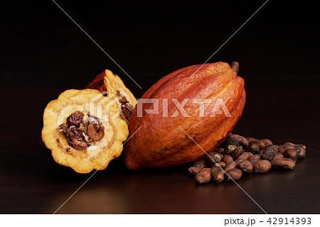 Natural raw open cocoa pod 42914393