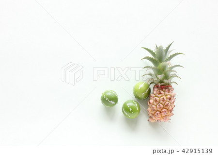 ミニパインとオキナワスズメウリ（横　緑） 42915139