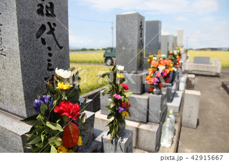 お墓参り　お盆 42915667
