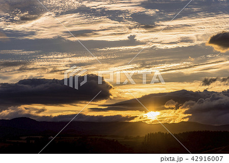 丘の町・美瑛の夕景 丘の町・美瑛の夕景 42916007