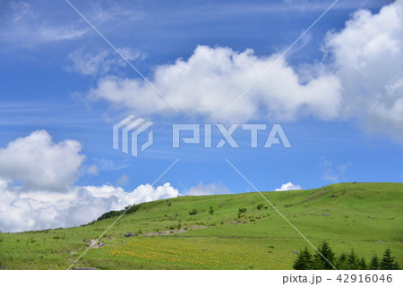 2018 夏の車山高原 42916046