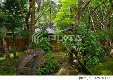 夏の栖賢寺 夏の栖賢寺 42916317