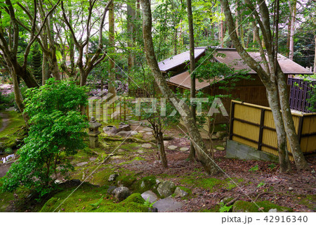 夏の栖賢寺 夏の栖賢寺 42916340