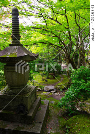 夏の栖賢寺 42916341