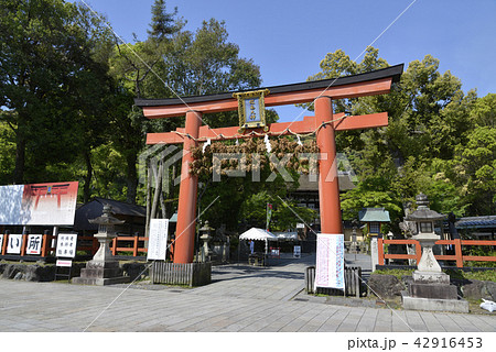 松尾大社　鳥居 42916453