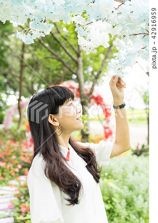 女性 メス フィールドの花 42916959
