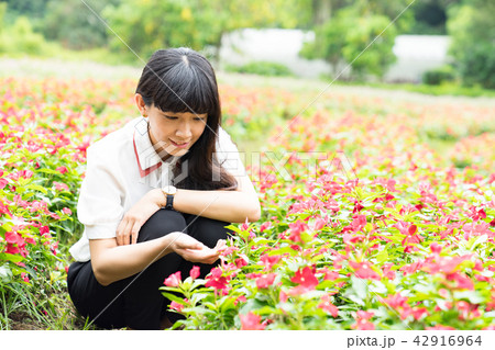 女性 メス フィールドの花 42916964