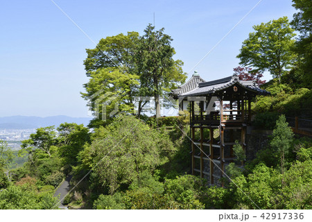 善峯寺　白山 桜あじさい苑 42917336