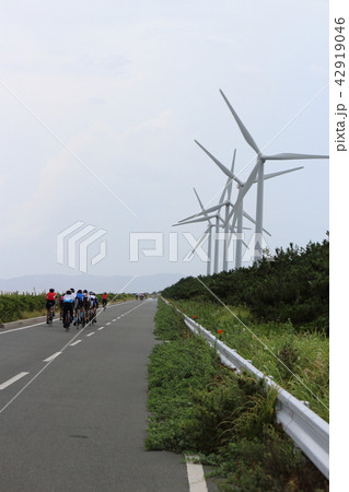 風車が並ぶサイクリングロード 42919046