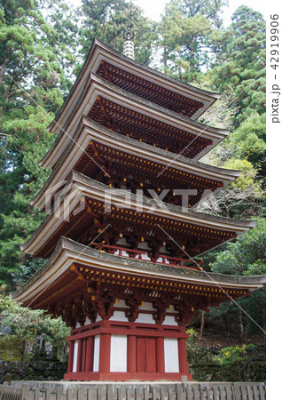 室生寺の五重塔 室生寺の五重塔 42919906