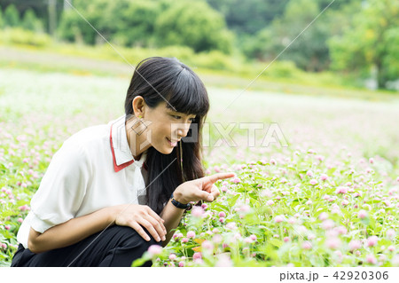 女性 メス フィールドの花 42920306