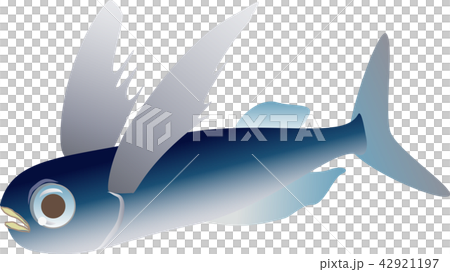 Flying fish 42921197
