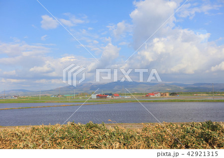 Furano Line of countryside of Japan, Asia. 42921315