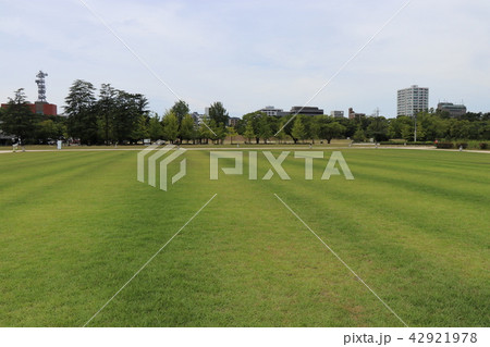 城山公園 42921978