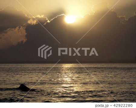 江ノ島　夕暮れの海　光芒 42922280