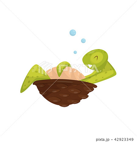 Smiling Turtle Relaxing Underwater Green のイラスト素材