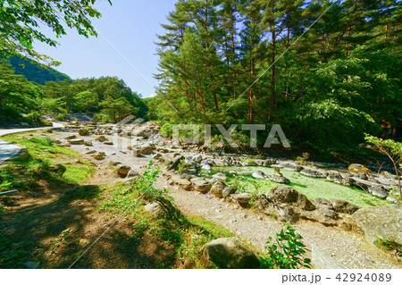 草津 西の河原公園 草津 西の河原公園 42924089