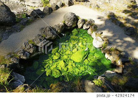 草津 西の河原公園 草津 西の河原公園 42924174