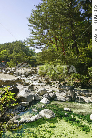草津　西の河原公園 42924175