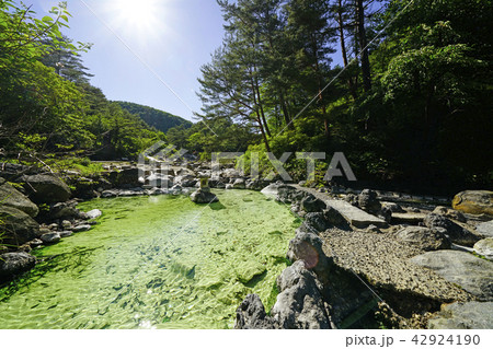 草津 西の河原公園 草津 西の河原公園 42924190
