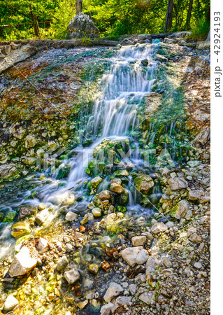 草津 西の河原公園 草津 西の河原公園 42924193