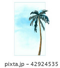 Palm trees. Tropics nature. Summer vacation banner template with text place 42924535