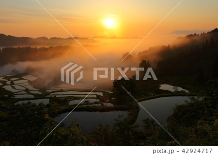 峠の棚田2018 峠の棚田2018 42924717