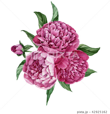 Exquisite and gentle floral bouquet 42925162