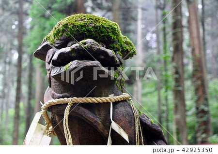 <茨城県>御岩神社の狛犬 42925350