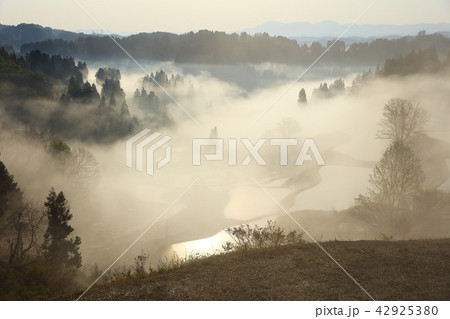 蒲生の棚田 蒲生の棚田 42925380