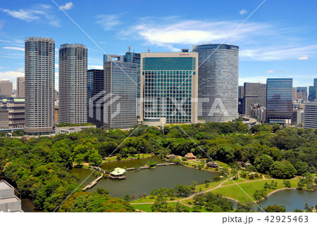 浜離宮恩賜庭園と汐留の高層ビル群 42925463