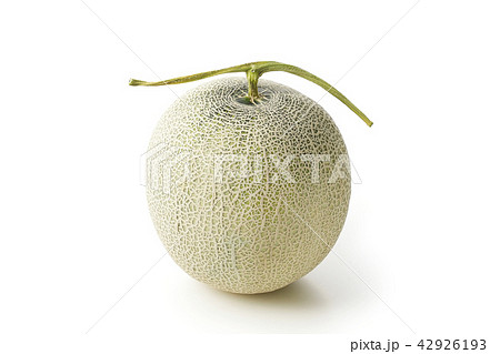 メロン 42926193