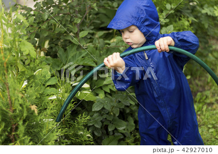 Toddler Playing with watering hose in green garden. Young gardener pouring bushes 42927010