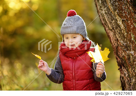 Little boy during stroll in the forest at sunny autumn day 42927065
