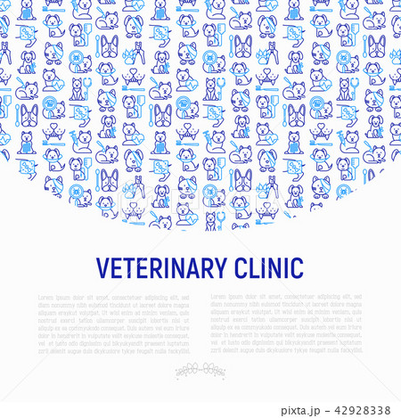 Veterinary clinic concept with thin line icons Veterinary clinic concept with thin line icons 42928338