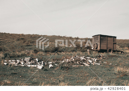 Pets: cows, goats, sheep Pets: cows, goats, sheep 42928401