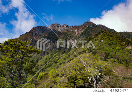 石鎚山 42929474