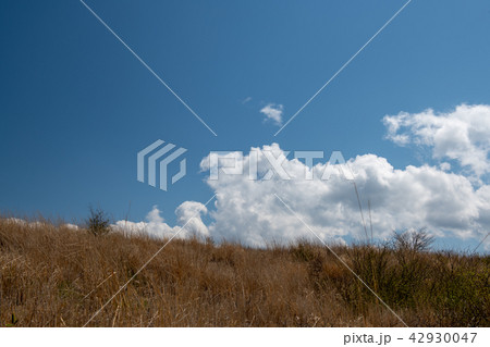 高ボッチ高原・高ボッチ山頂へ(長野県) 高ボッチ高原・高ボッチ山頂へ(長野県) 42930047