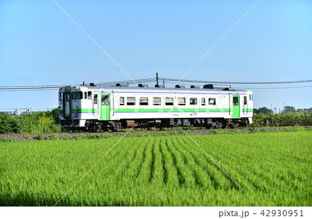 札沼線　石狩金沢－本中小屋　JR北海道　キハ40-401（苗穂） 42930951