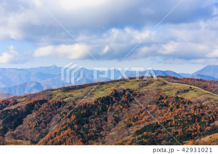 栃木県鹿沼市　紅葉と日光の山々（11月） 42931021