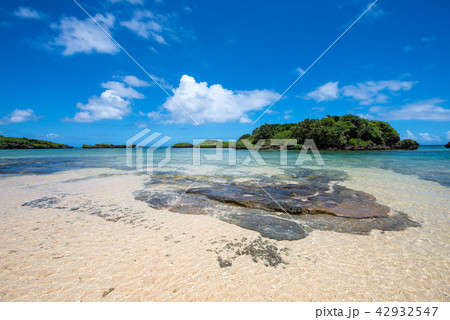 西表島 星砂の浜 西表島 星砂の浜 42932547