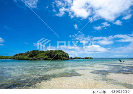 西表島 星砂の浜 西表島 星砂の浜 42932550