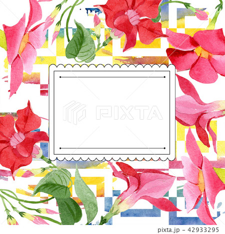 Watercolor red dipladies flower. Floral botanical flower. Frame border ornament square. 42933295